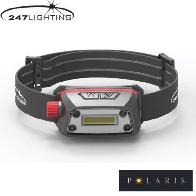 Picture of Rechargeable COB LED Head Lamp EP 1090